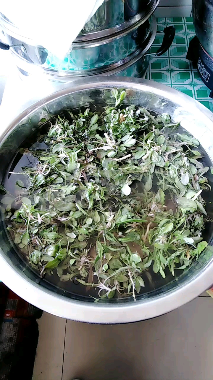 小野菜。