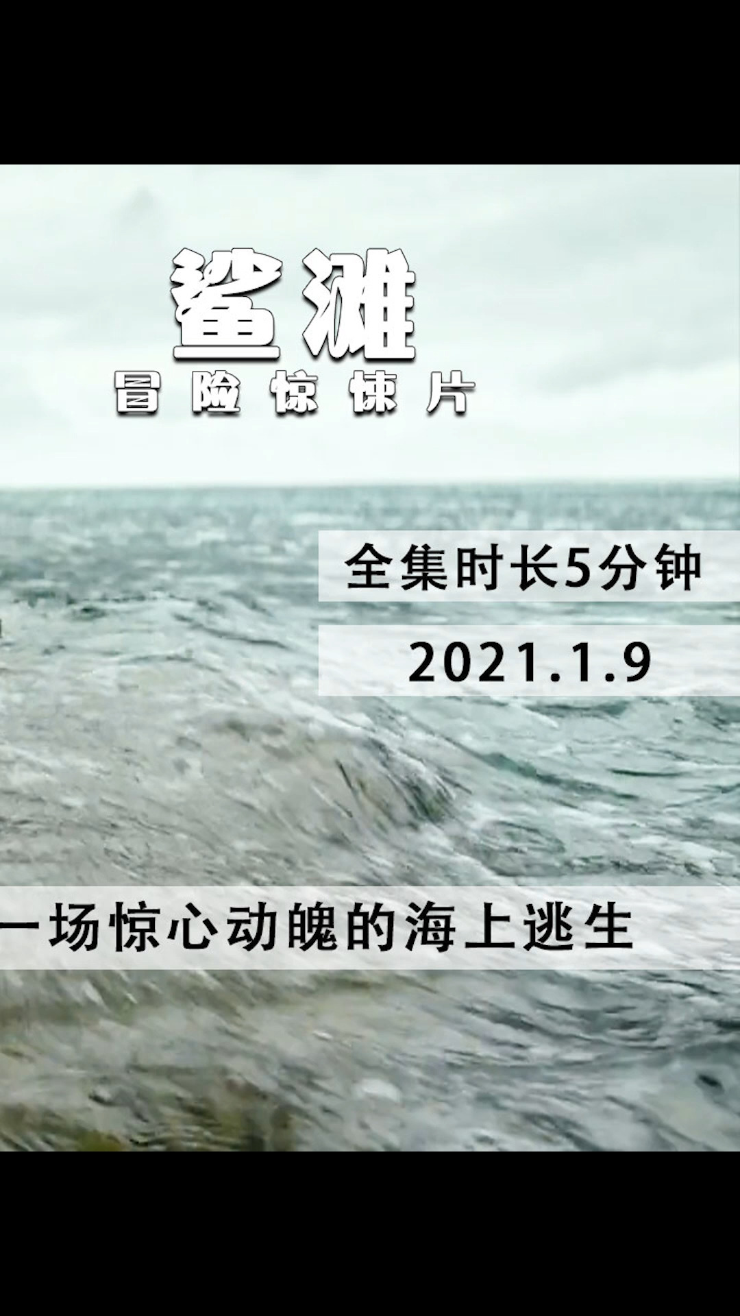#电影解说#美女冲浪被鲨鱼攻击，受伤被困石头上，濒临绝境她该如何死里逃生
