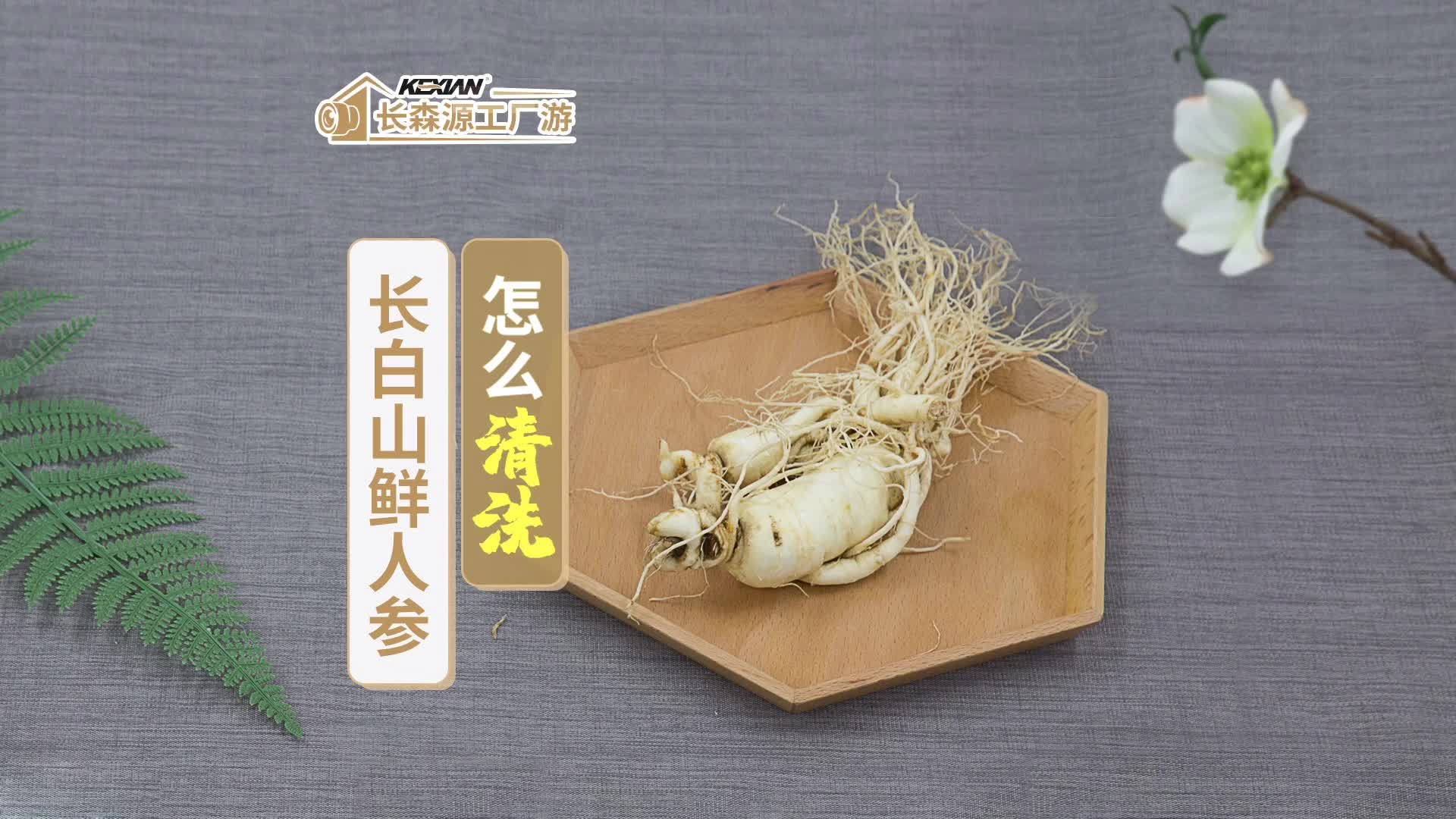 长白山鲜人参怎么清洗