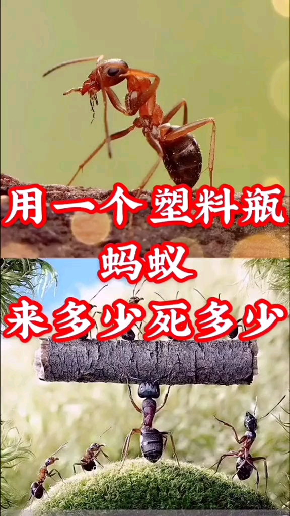 生活小妙招