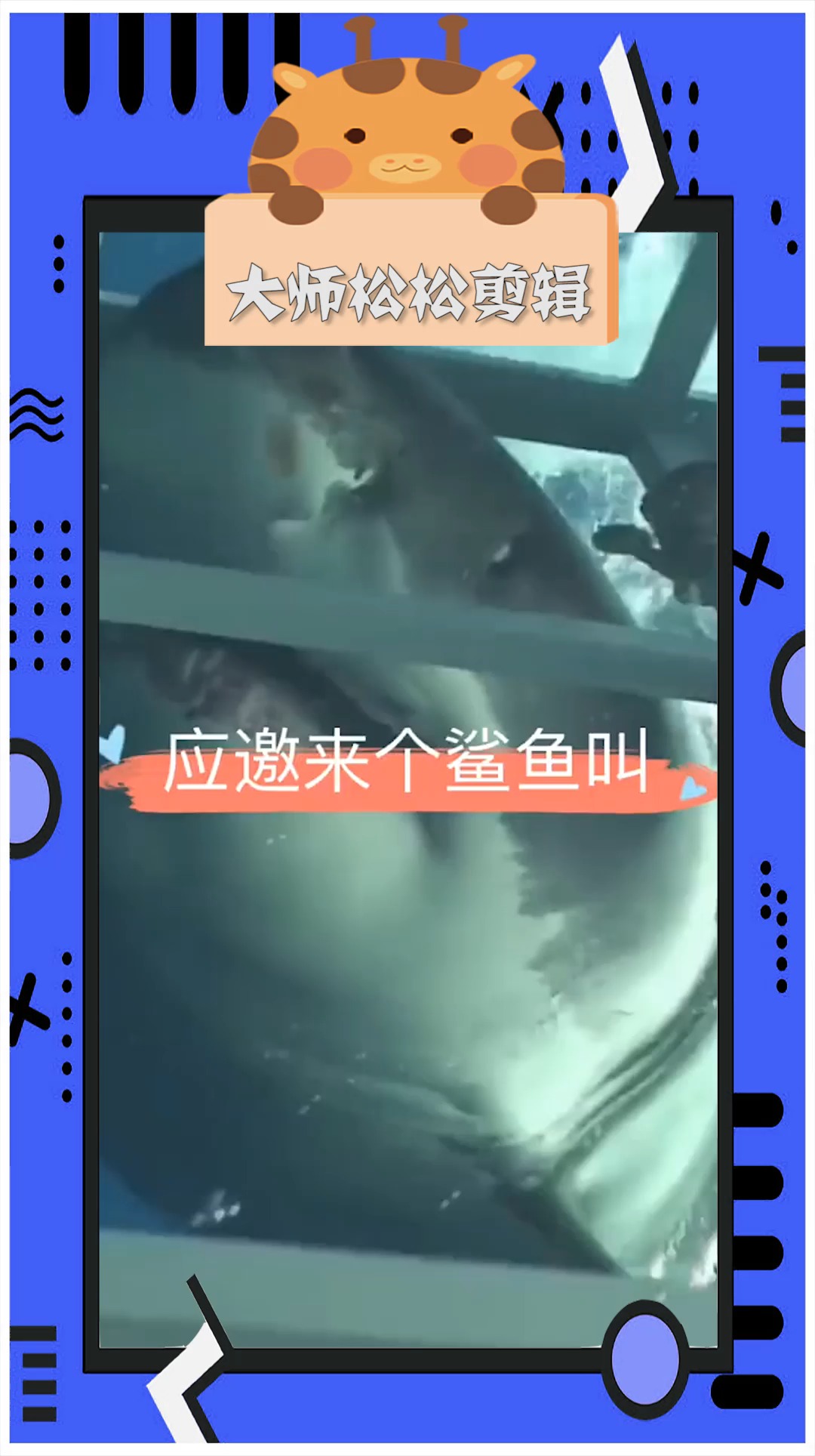 #奇趣#如果鲨鱼,这个时候叫声,你们会不会害怕!