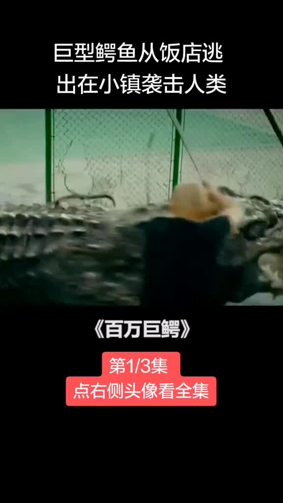 这么大的鳄鱼一口一人