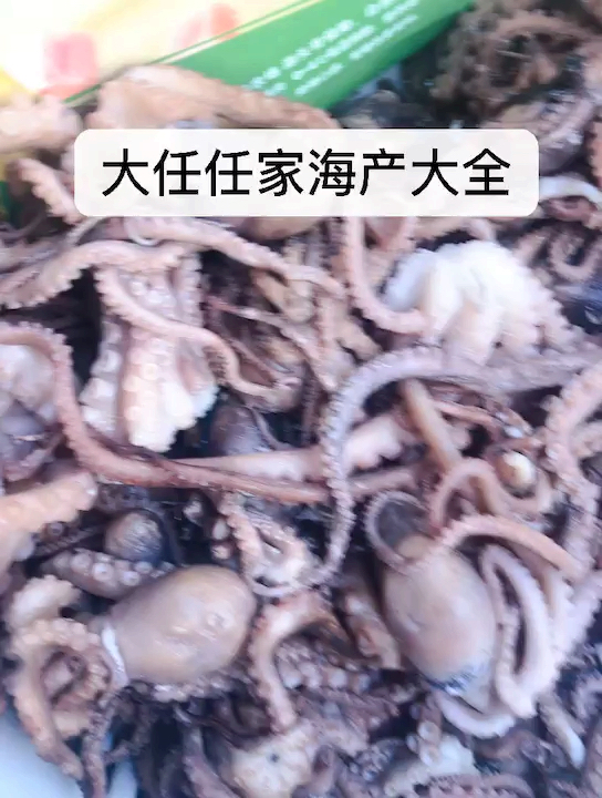 #道长我想要修仙#长腿八爪鱼超新鲜～