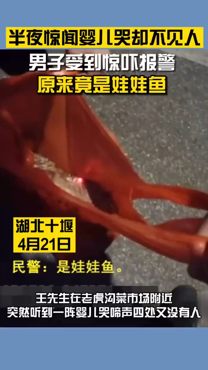 半夜惊闻婴儿哭声却不见人男子吓到报警 发现竟是国家二级保护动物