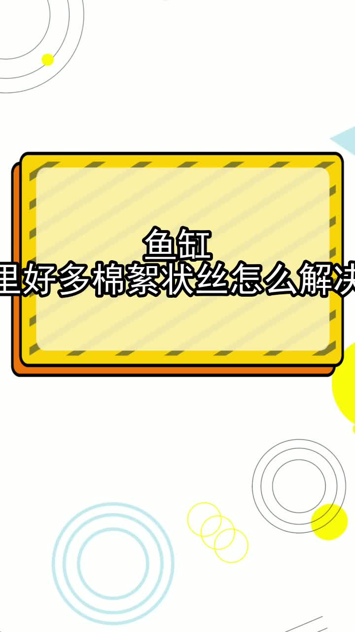鱼缸里好多棉絮状丝怎么解决,你听懂了吗