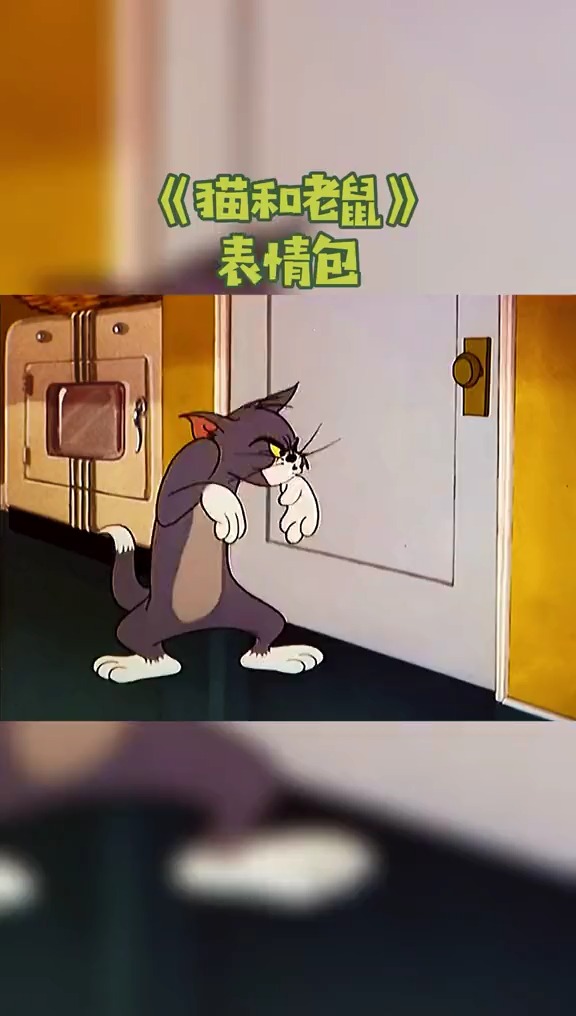 斯派克又把汤姆安排了,心疼汤姆