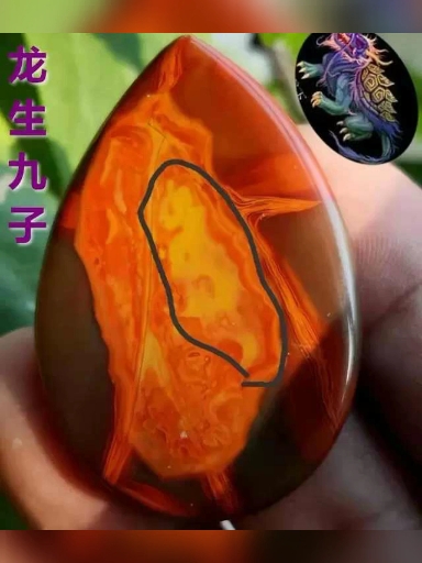 战国红玛瑙原石奇石象形龙生九子之一,象形甲壳虫富甲天下