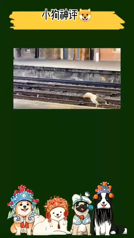 原来那个表情包是真的