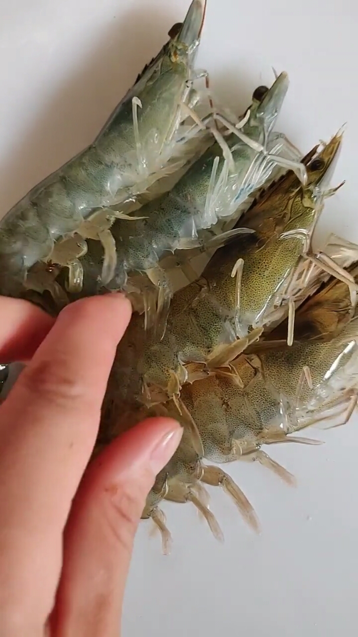 如何区别海虾和淡水虾