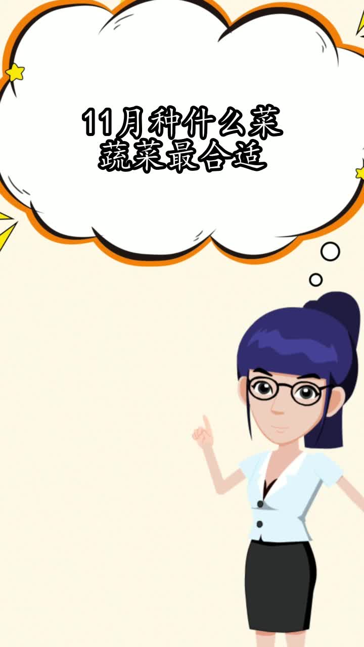 11月种什么菜蔬菜最合适,你懂了吗