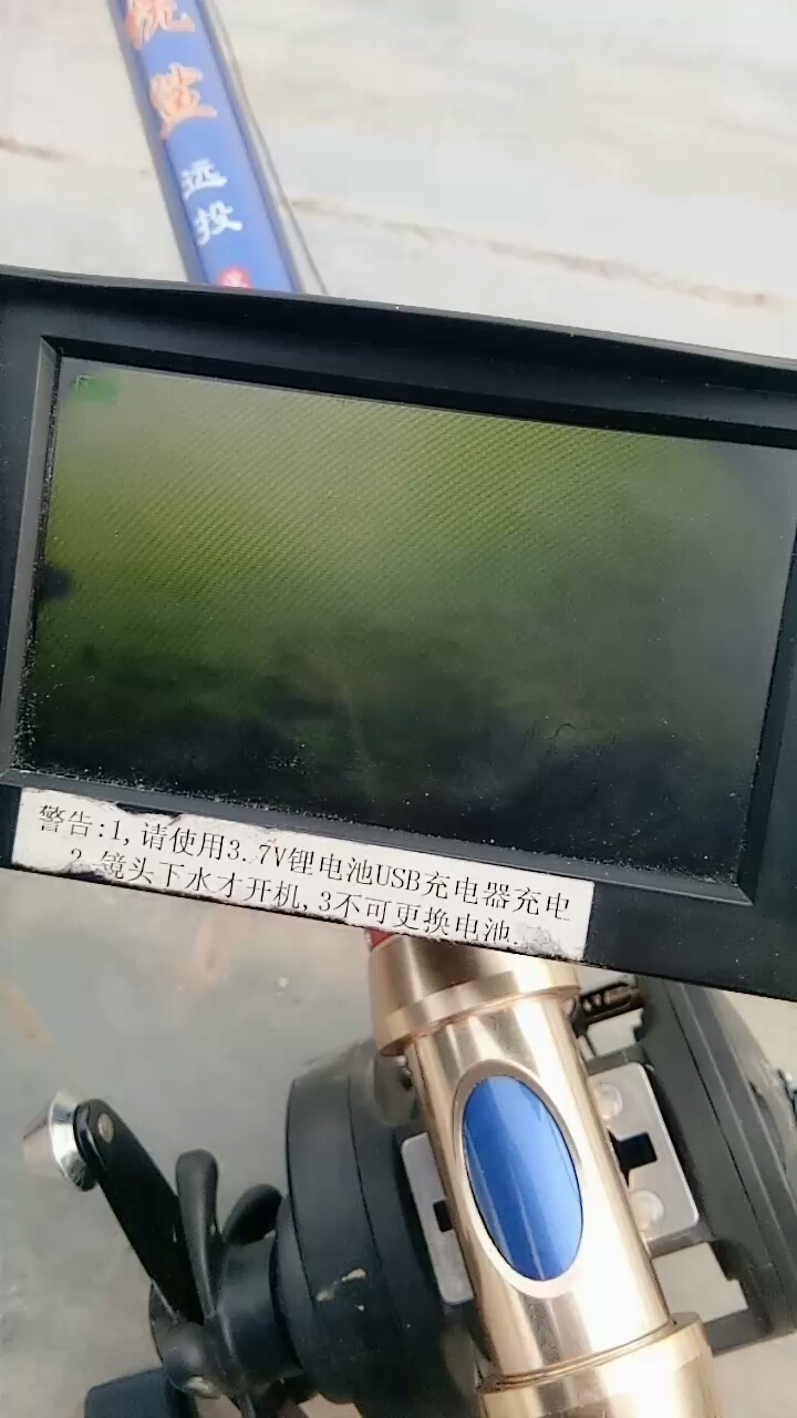 可视锚鱼