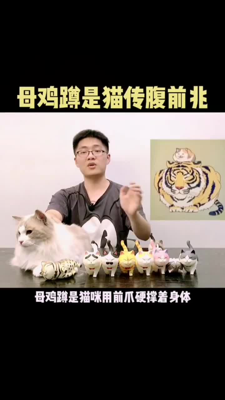 猫咪做出这个动作,可能是身体不适!