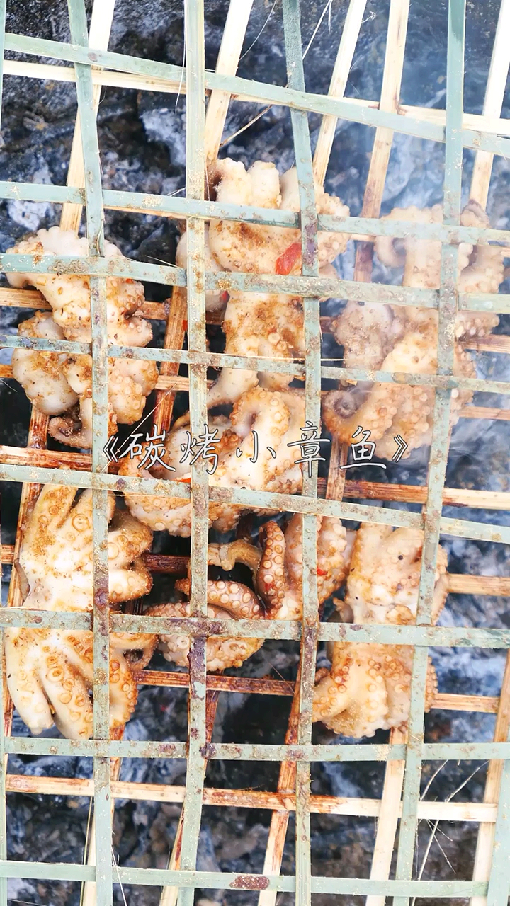 炭烤小章鱼我一个人能吃8个,八爪鱼你要尝一尝吗?