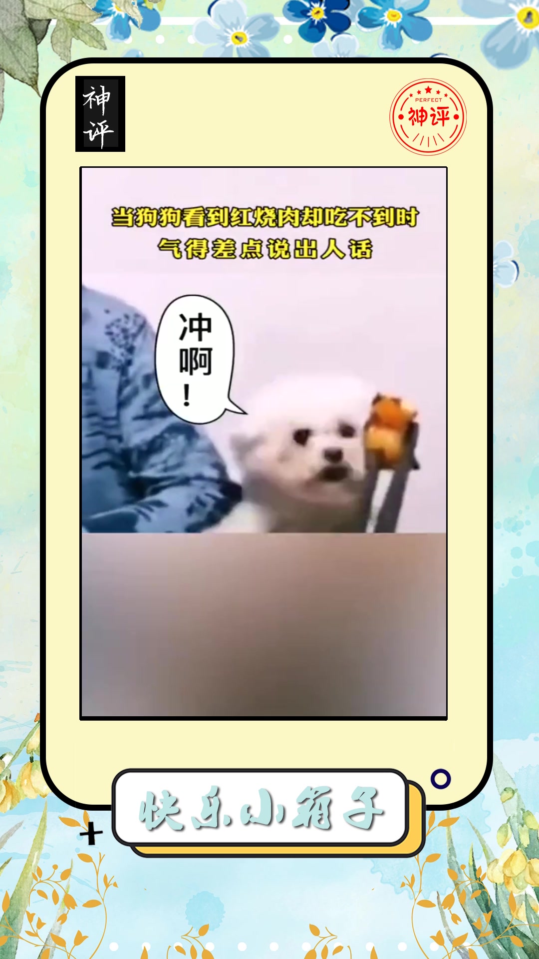 #搞笑#当狗狗看到红烧肉却吃不到时,气得差点说出人话,太可爱了