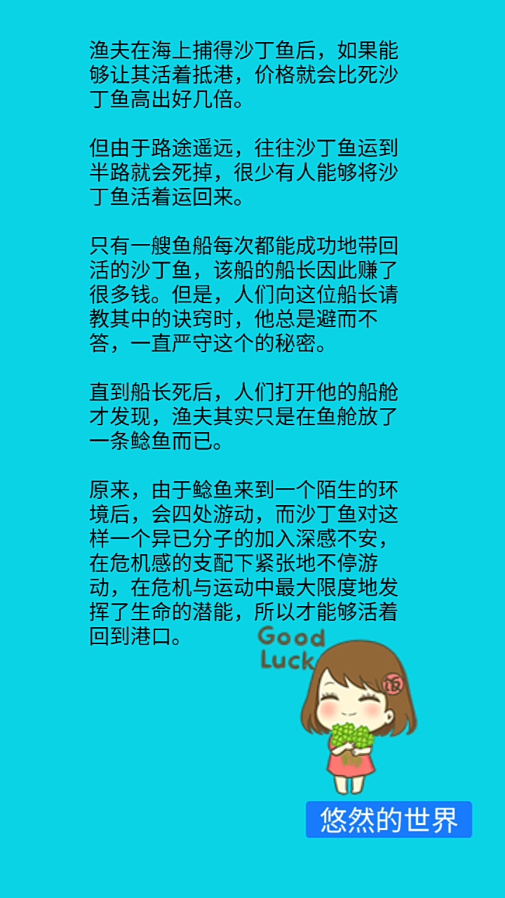 沙丁鱼