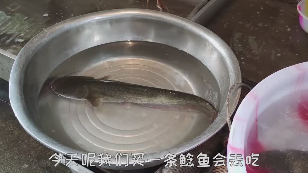 鲶鱼这样烧无土腥味,鲜嫩细腻开胃下饭,六星级大厨吃了都点赞美食