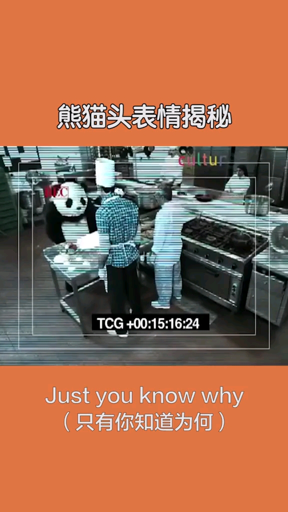 用过熊猫头的评论区回复个表情吧～#表情包