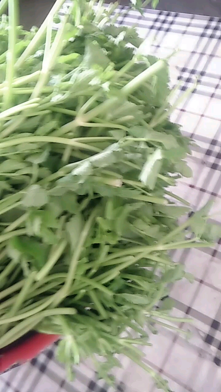 谁见过这东西