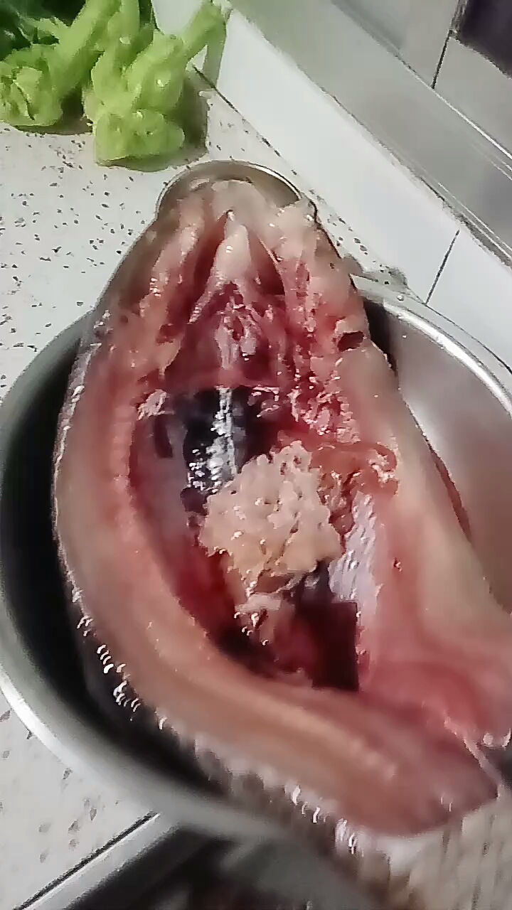河鱼