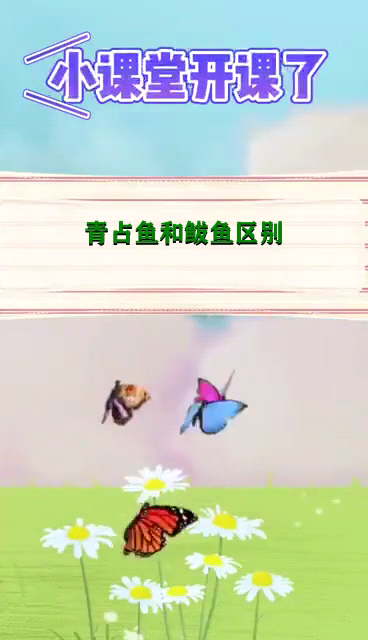 青占鱼和鲅鱼区别