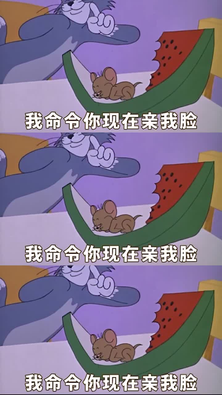 我又带着猫和老鼠的表情包来了