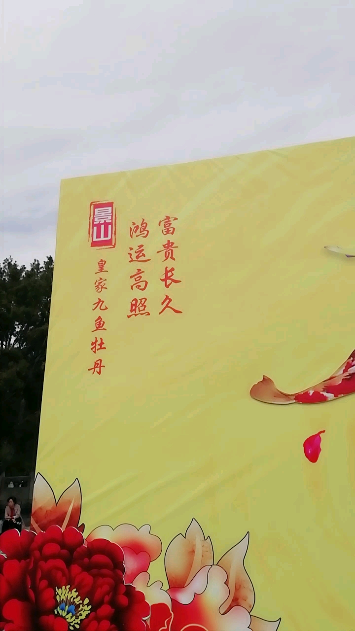 花开富贵!鱼连连