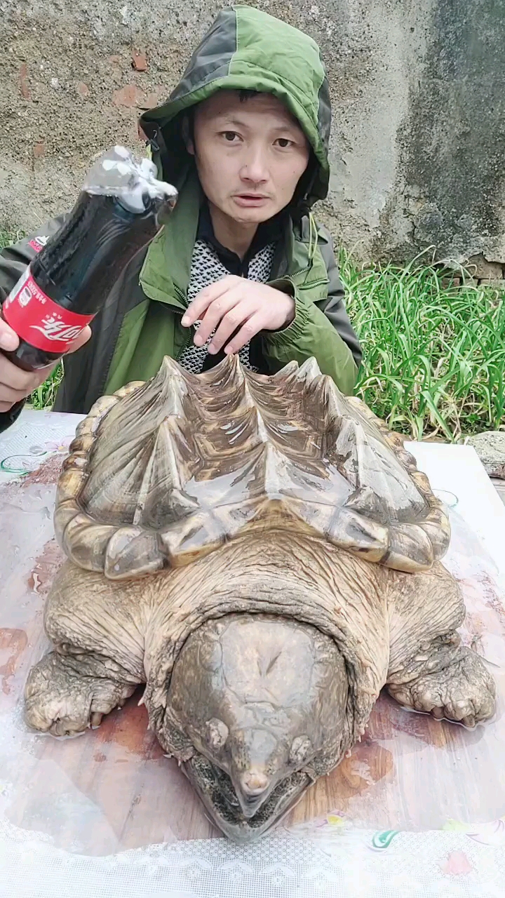 分享视频