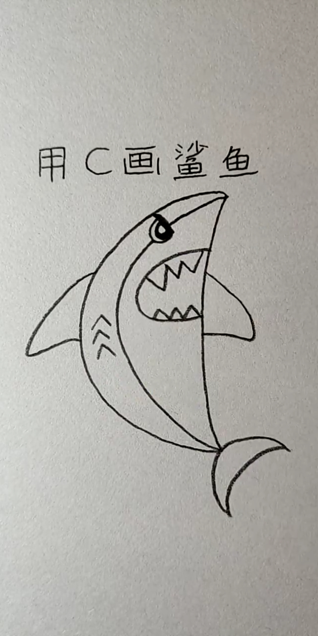 #简笔画#用C画鲨鱼,简单几笔就画完了!