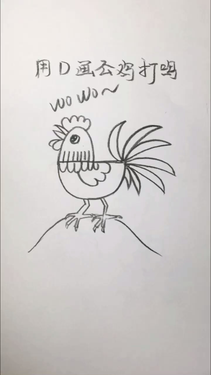 #我要上热门#简笔画用D画公鸡打鸣