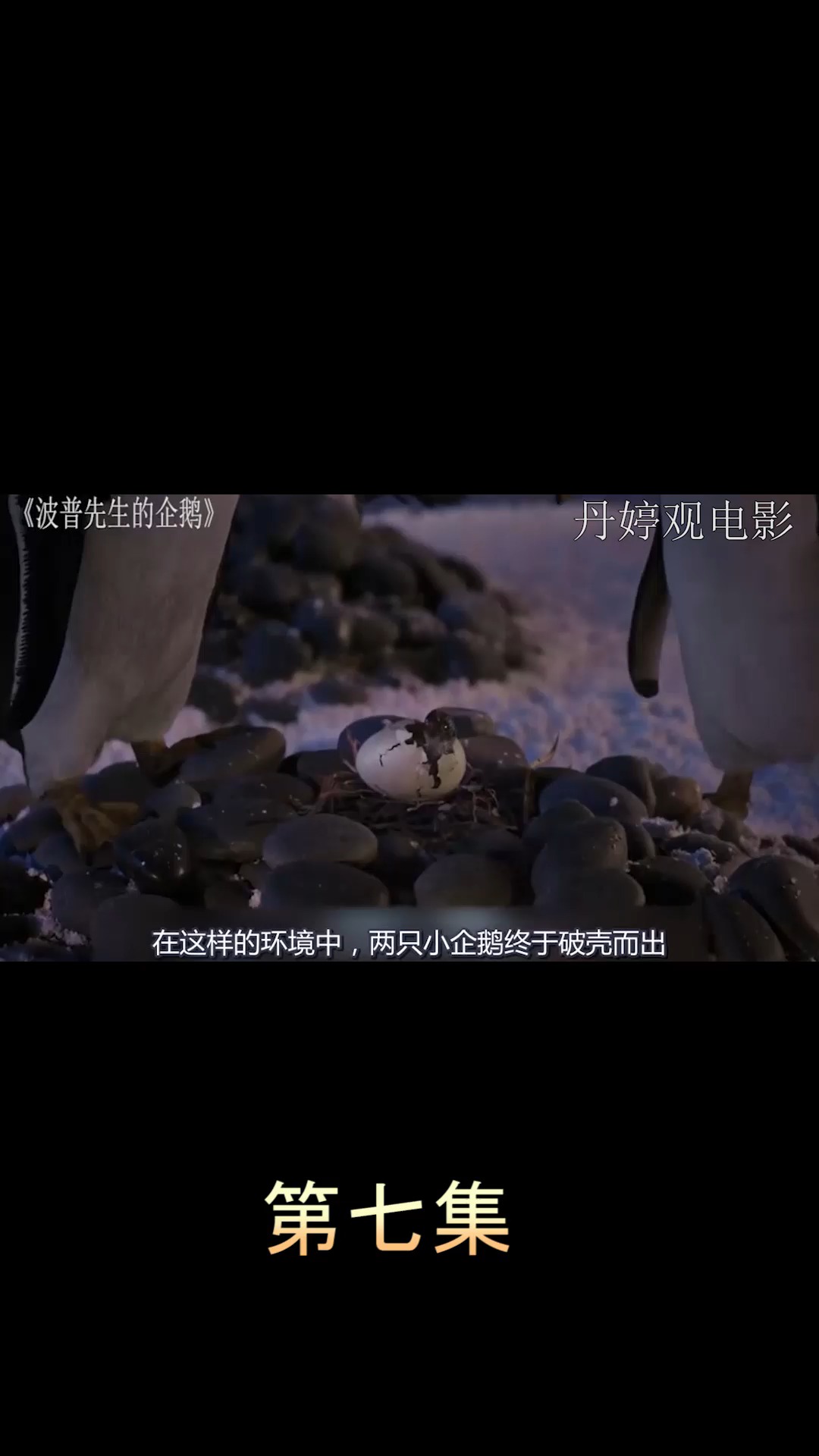 电影【波珀先生的企鹅】第七集