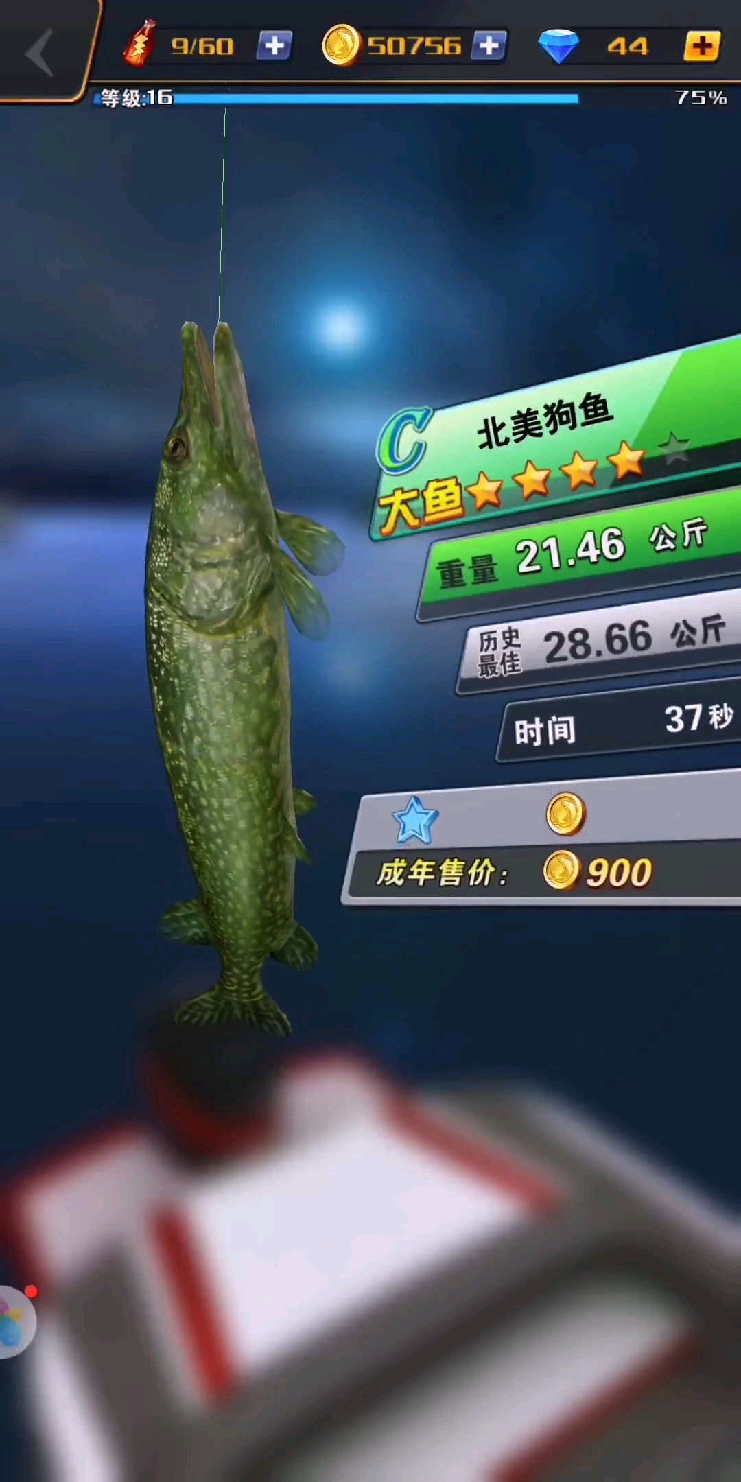 北美狗鱼大鱼☆☆☆重量21.46公斤28.66公斤