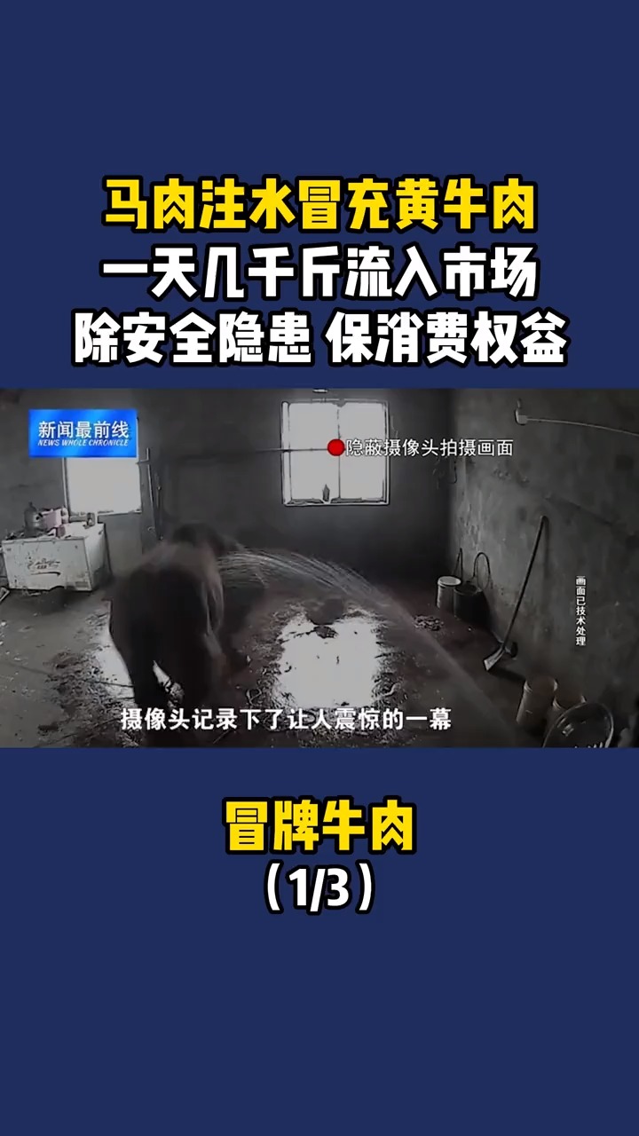 马肉注水冒充黄牛肉,一天几千斤流入市场