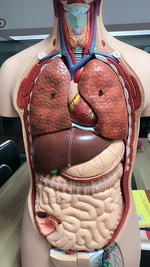 完了,我爱吃小龙虾