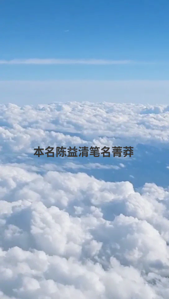 小虾作者青莽简介