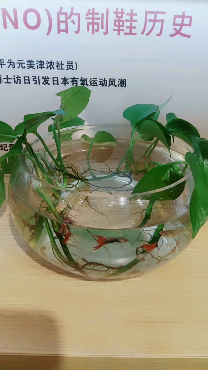 #带上全民去旅行#