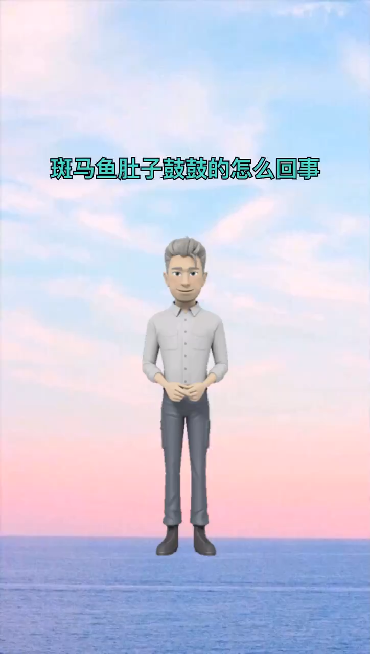 我来告诉你斑马鱼肚子鼓鼓的怎么回事