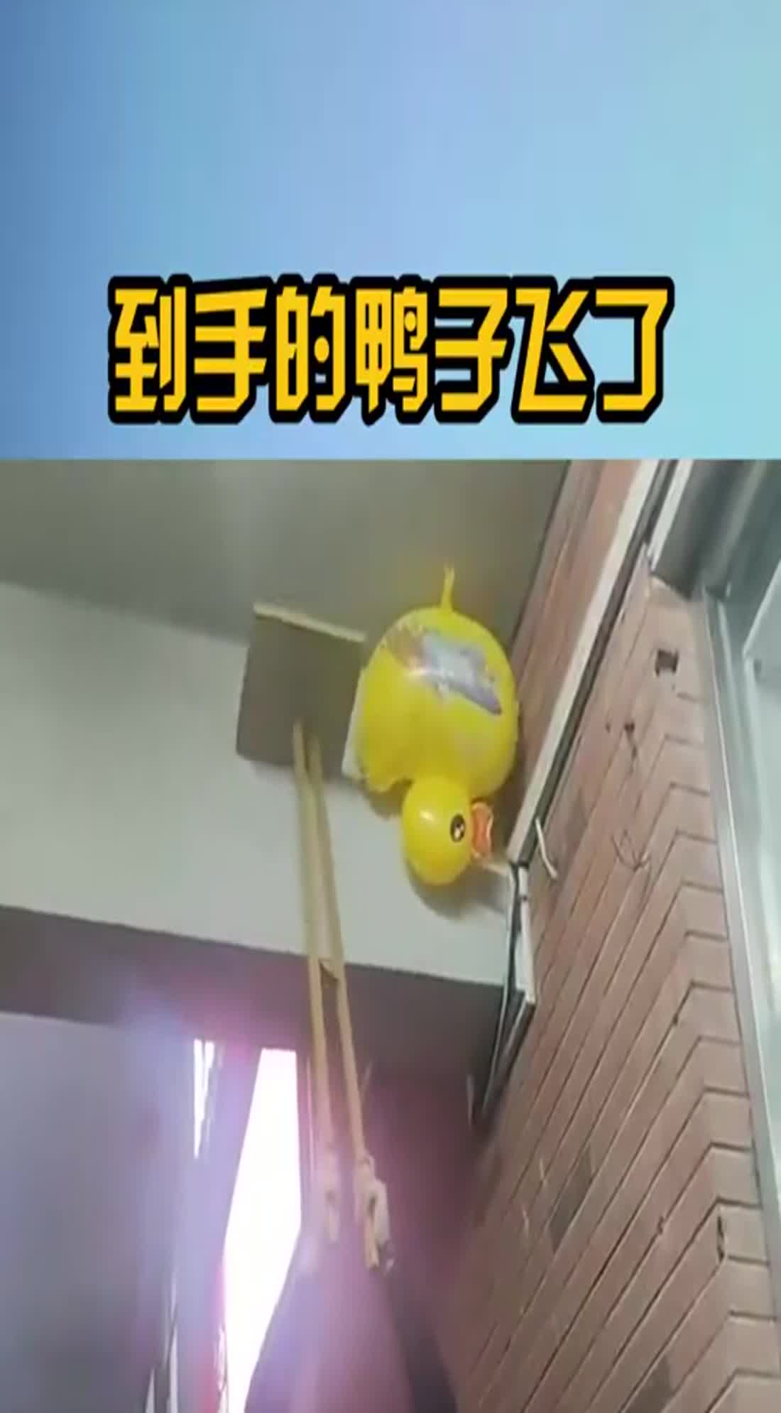 到手的鸭子飞了