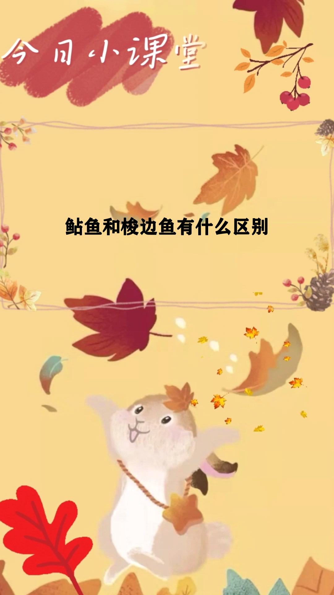 鲇鱼和梭边鱼有什么区别