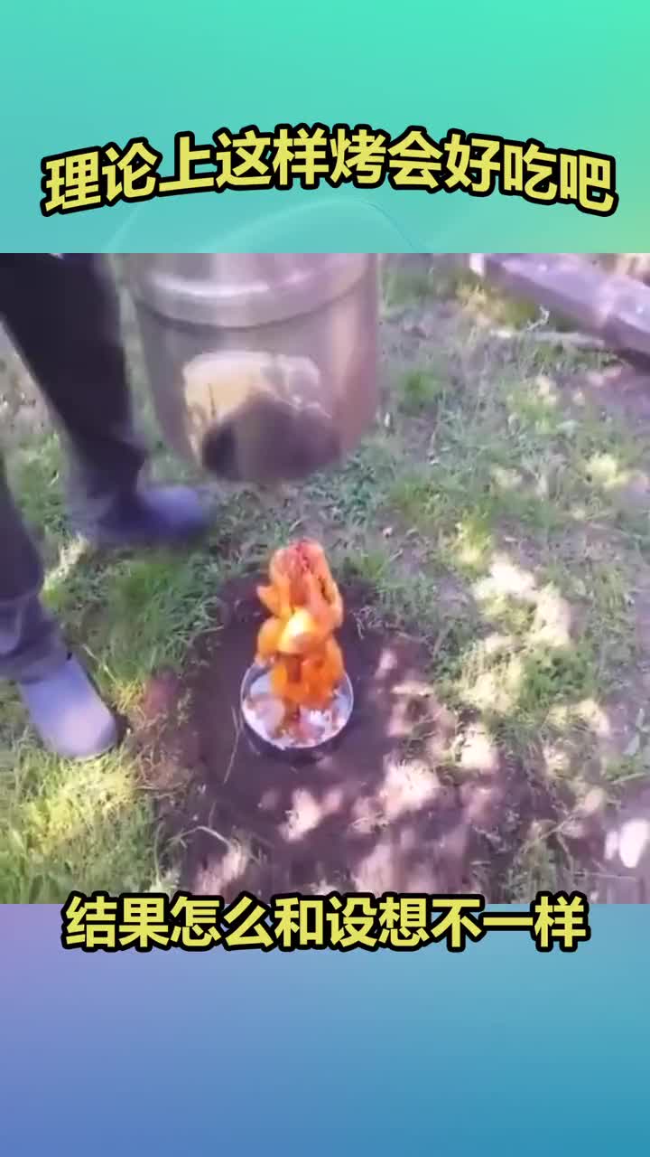 理论上这样烤鸡应该很好吃吧!怎么出来的是一堆焦炭