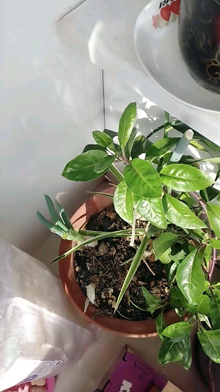 分享视频
