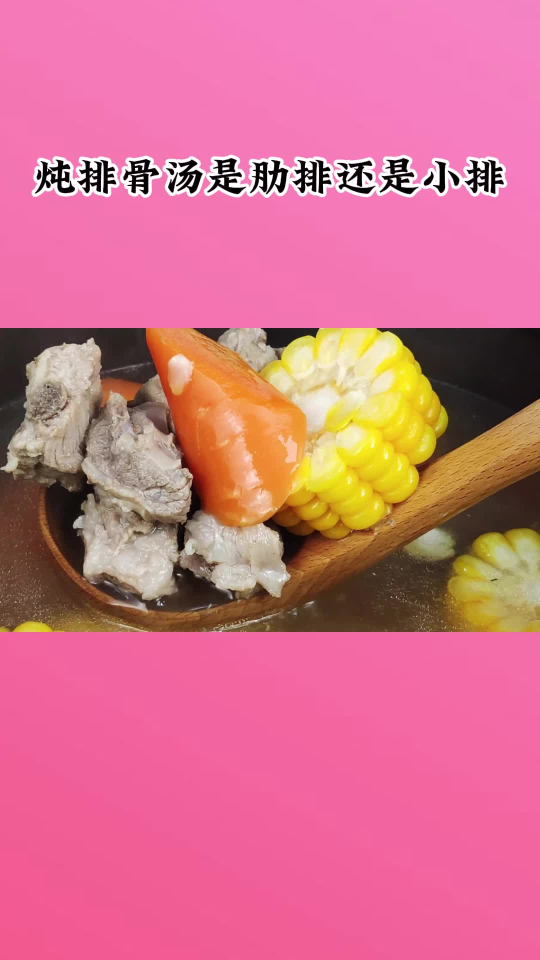 一锅美味的排骨汤,充满食欲,非常好喝