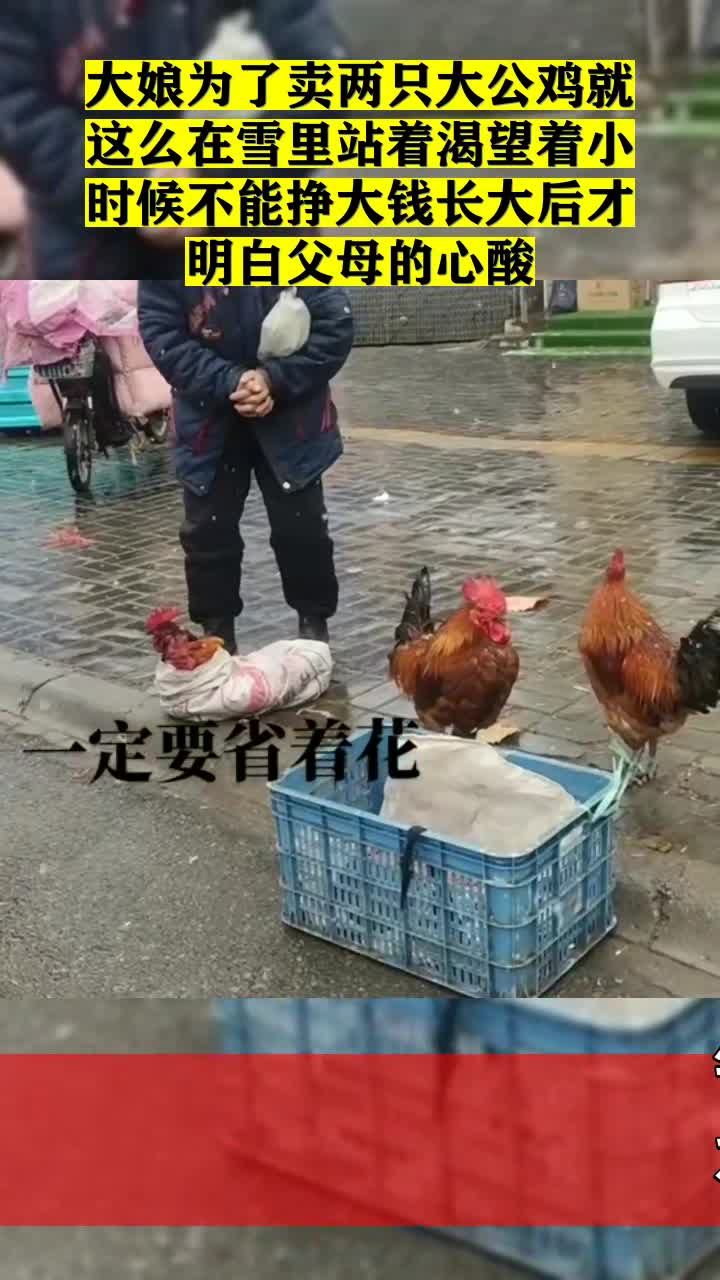 #我要上热门#大娘为了卖两只大公鸡就这么在雪里站着渴望着小时候不能挣大钱长大后才明白父母的