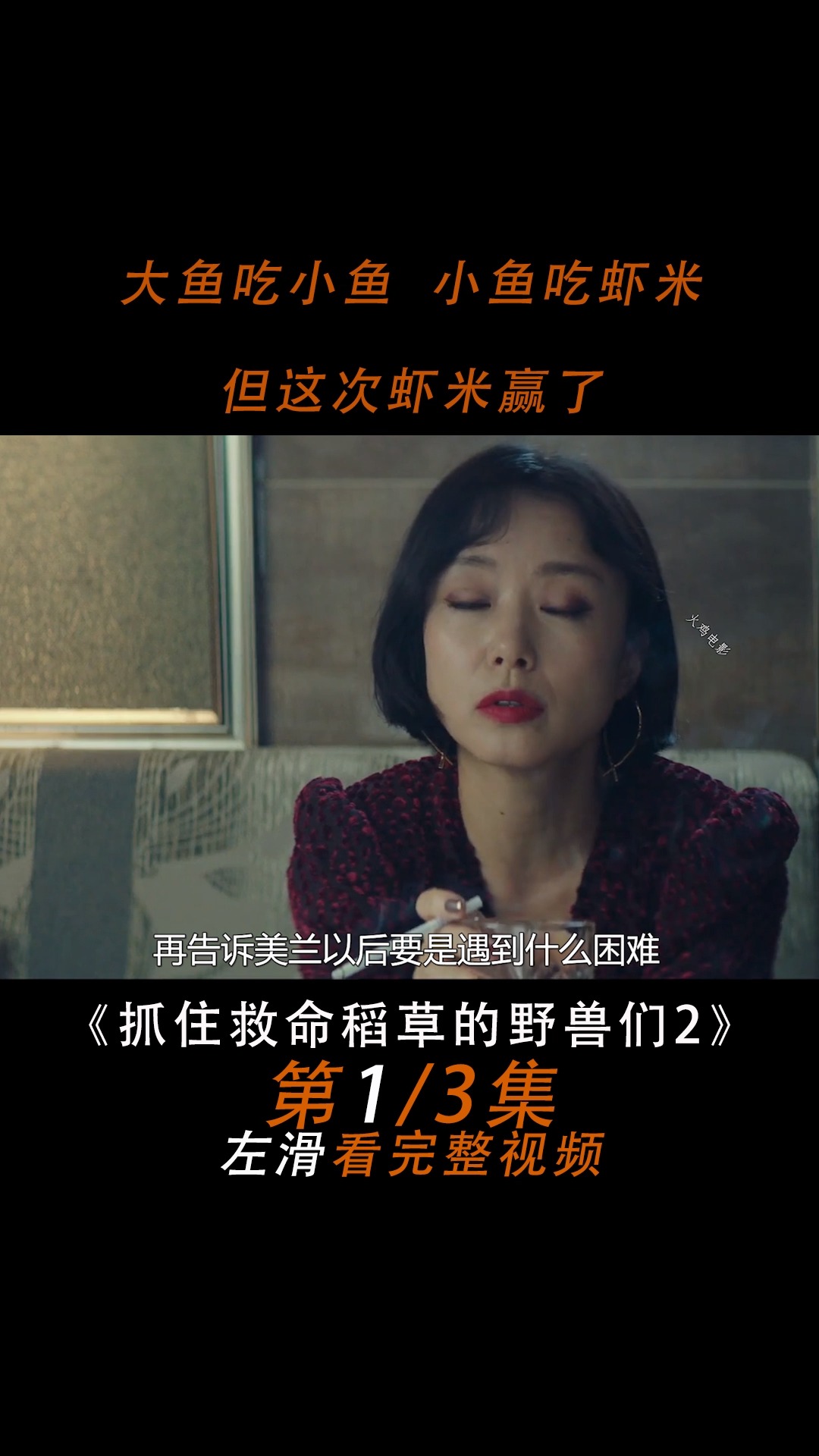 #好看电影#抓住救命稻草的野兽们
