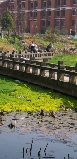 #户外钓鱼#长沙市岳麓区野钓好地方