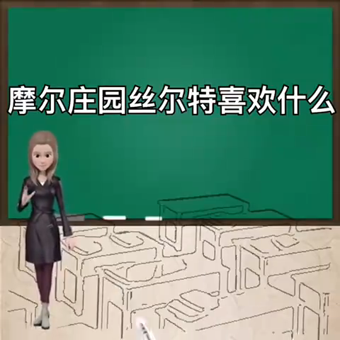斯尔特喜欢什么礼物?