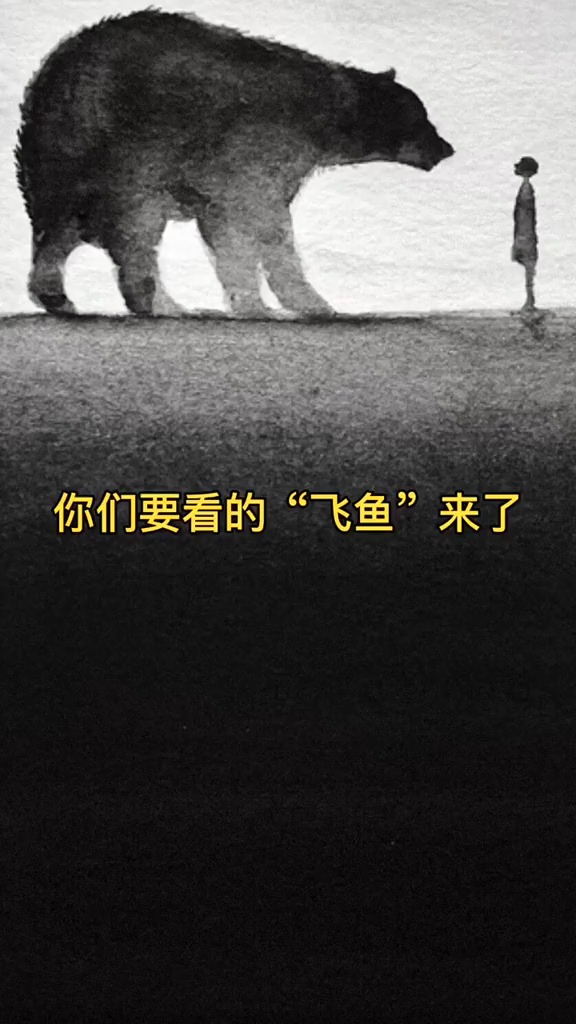 飞鱼 视频素材来源网络,