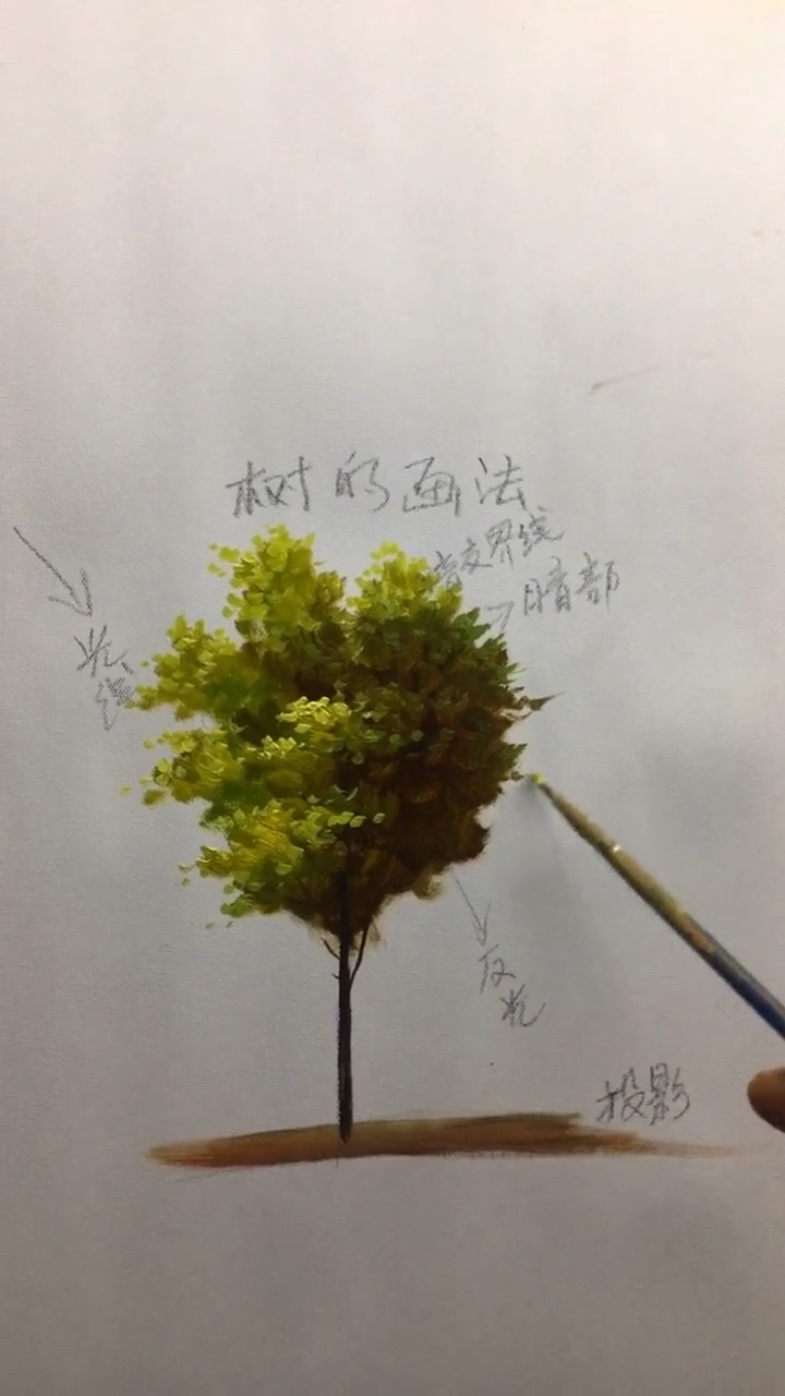 树的画法油画教程视频