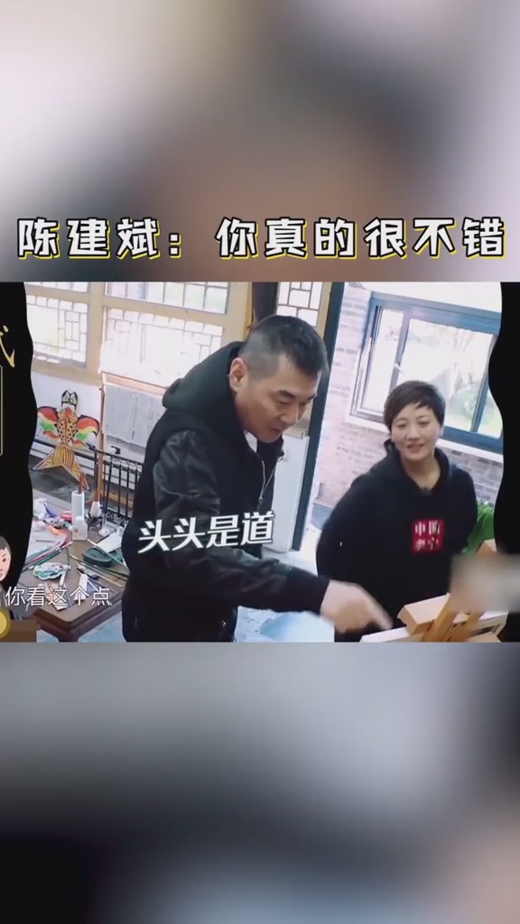 #陈建斌 点评#张国立 #邓婕 的画,听听文化人的彩虹屁,也是真的很不错了