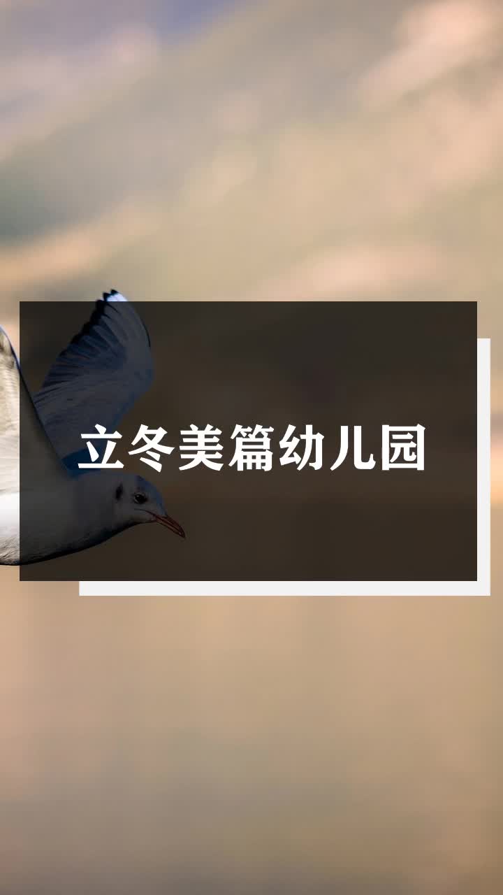 立冬美篇幼儿园
