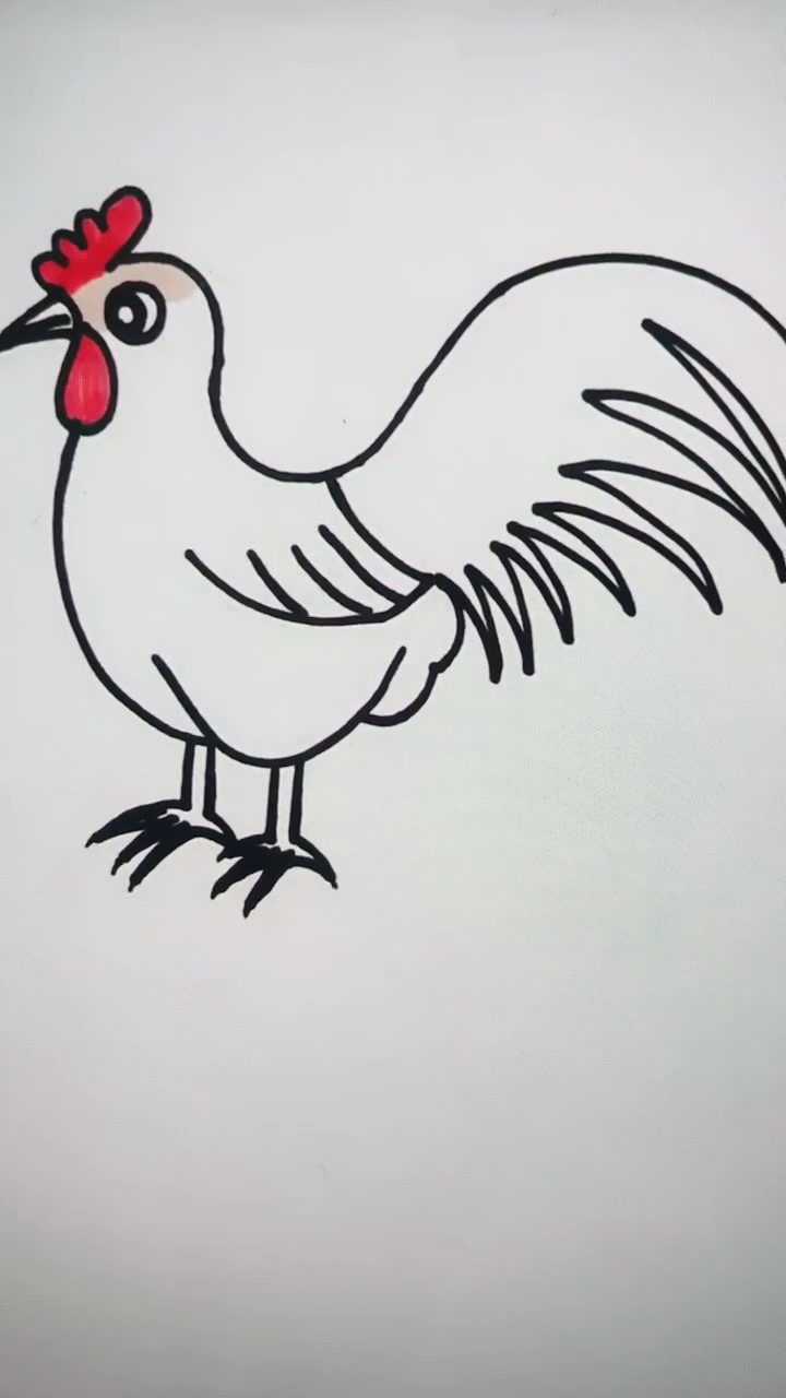 简笔画大公鸡
